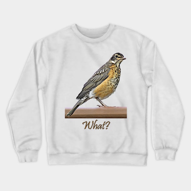 What? Robin Crewneck Sweatshirt by MaryLinH